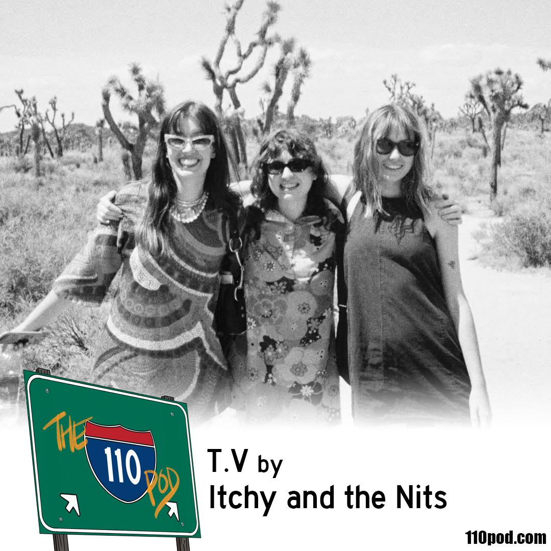 181: T.V by Itchy and the Nits episode artwork